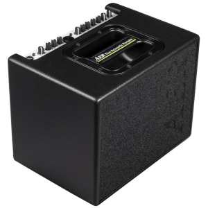 AER Compact 60 Mk4 Acoustic Amp with Padded Gig Bag (60w)