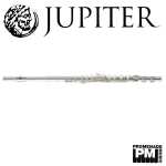 Jupiter JFL700EC Silverplated Flute Outfit (with .925 sterling silver chimney, split e-mechanism, offset G, case and cover)