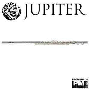 Jupiter JFL700EC Silverplated Flute Outfit (with .925 sterling silver chimney, split e-mechanism, offset G, case and cover)