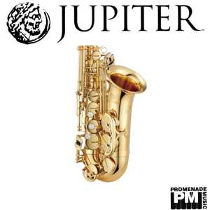 Jupiter JAS1100Q Alto Saxophone Outfit with Mouthpiece & Backpack Softcase (JAS-1100Q)
