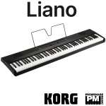 Korg Liano Digital Piano, Black (Korg L1)