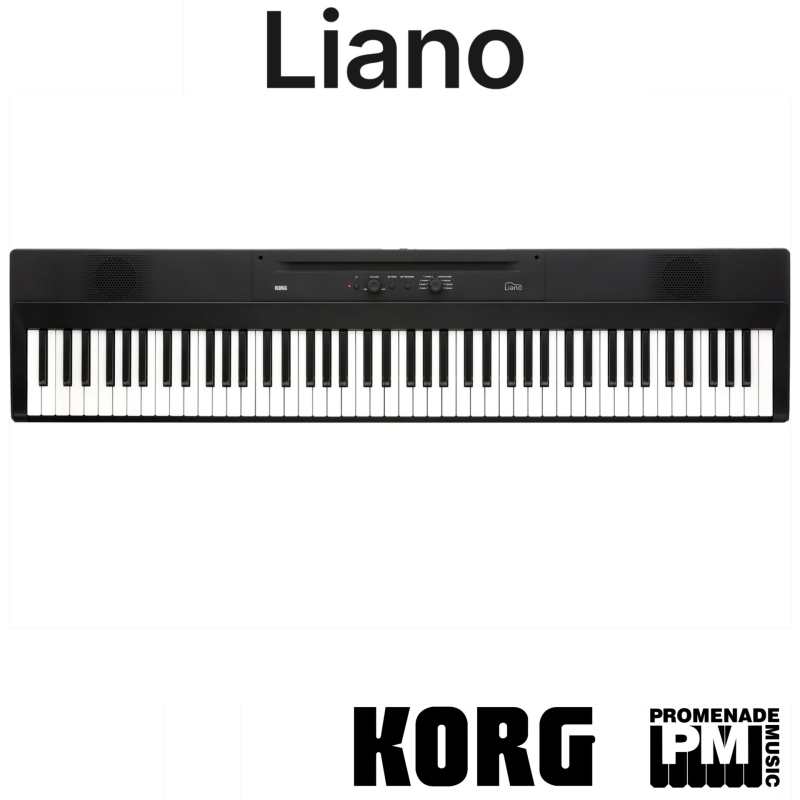 Korg Liano Digital Piano, Black (Korg L1) - Image 2