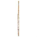 Yamaha YFLA421 Alto Flute Outfit With Case (YFLA421II)