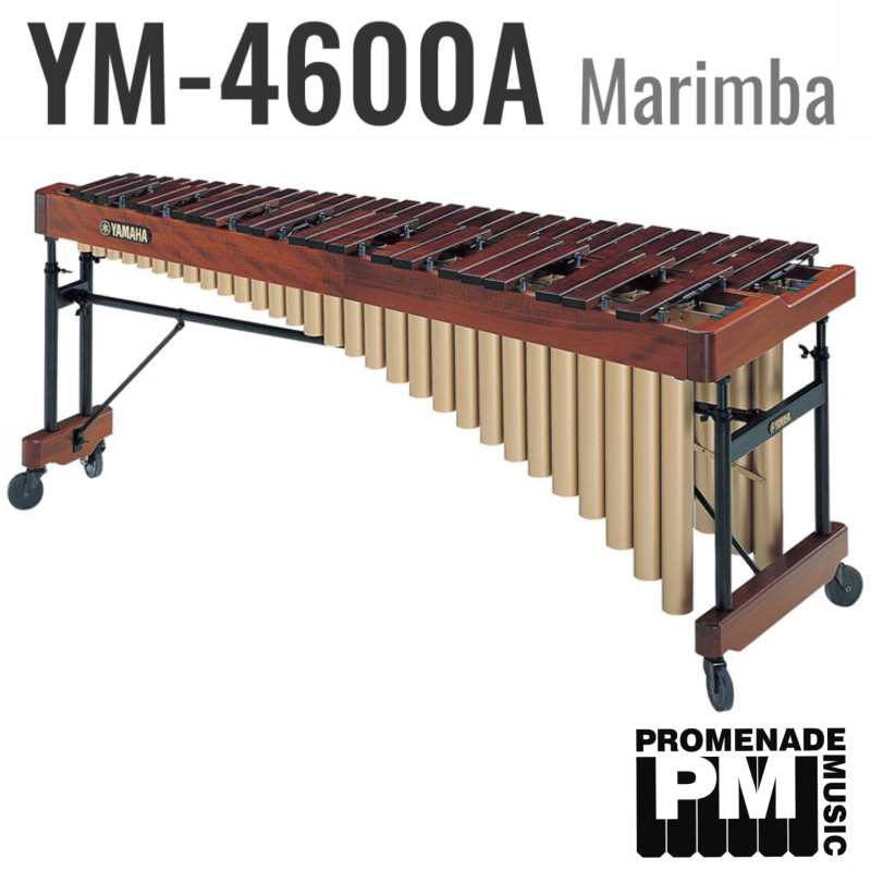 Yamaha YM-4600A 4.3-octave Marimba with Honduran Rosewood Bars and Gas-spring Height Adjustable Frame (YM4600A)