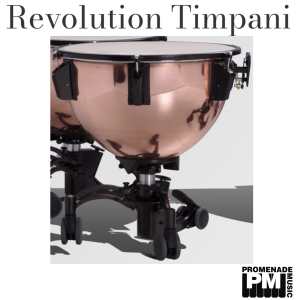 Adams 20" Revolution Smooth Copper Timpani with Finetuner, Tuning Gauge, Remo Renaissance Head, Mute, Tuning Key, and Removable Base