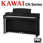 Kawai CN301SB Digital Piano in Black (CN-301SB)