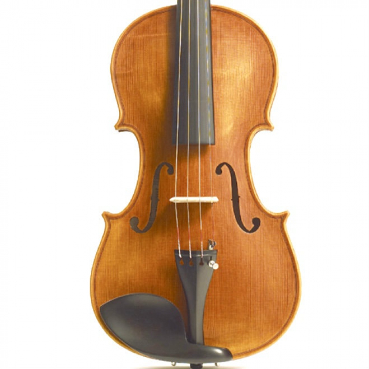 Full size Stentor Messina Violin Outfit With Bow Case 1865A