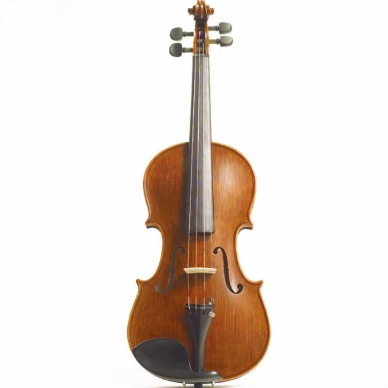 Stentor 4/4 Elysia Violin -  Instrument Only (1875A) - Image 2