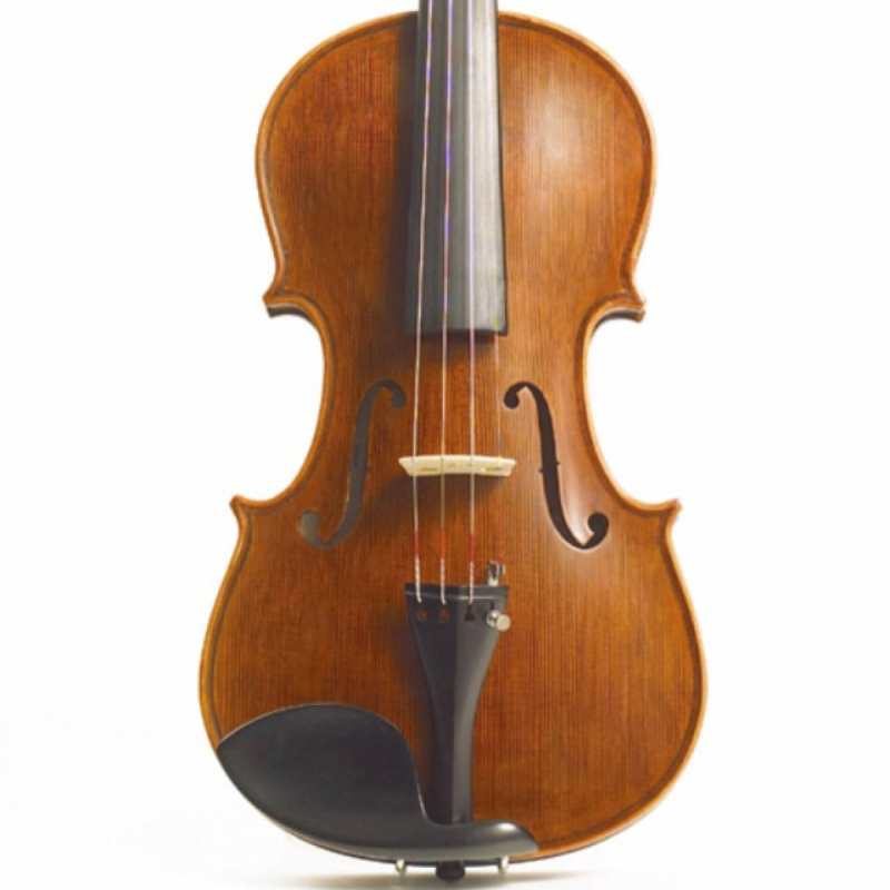Stentor 4/4 Elysia Violin -  Instrument Only (1875A)