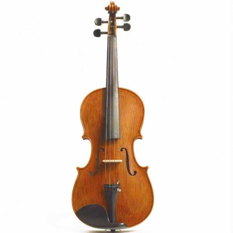 Stentor Elysia Viola Outfit - Instrument Only (1876) - Image 2