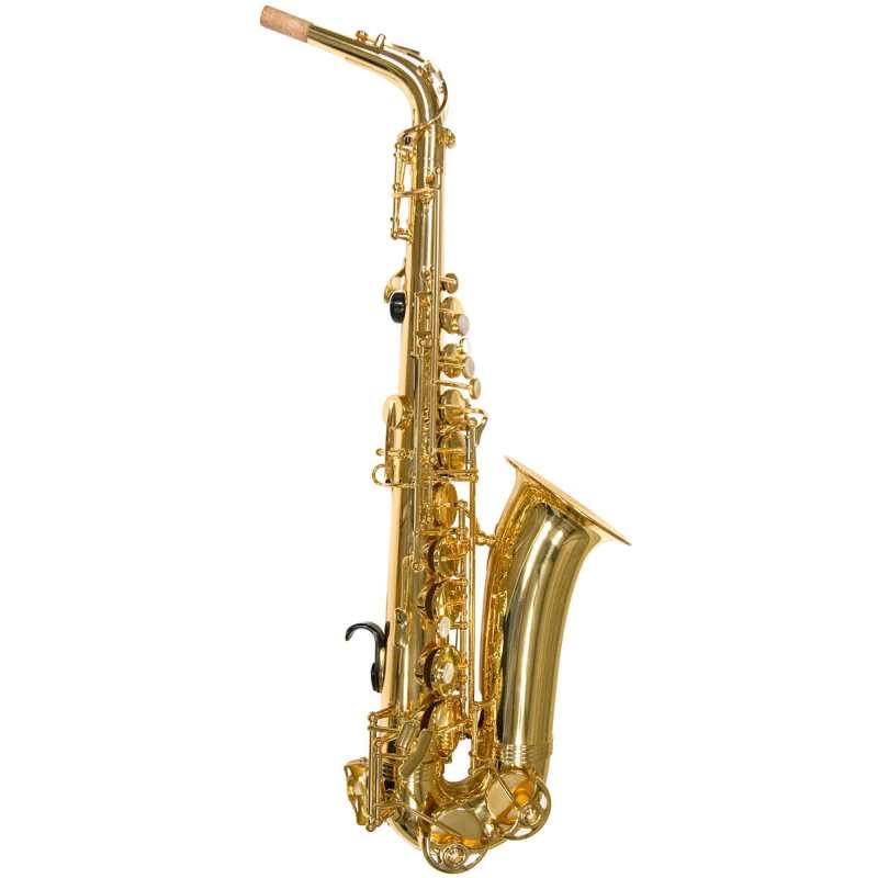 Trevor James Alphasax 2 Alto Sax Outfit with Lightweight Back-Pack Case (371A2) - Image 3
