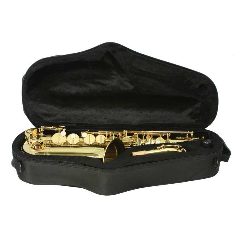 Trevor James Alphasax 2 Alto Sax Outfit with Lightweight Back-Pack Case (371A2) - Image 5
