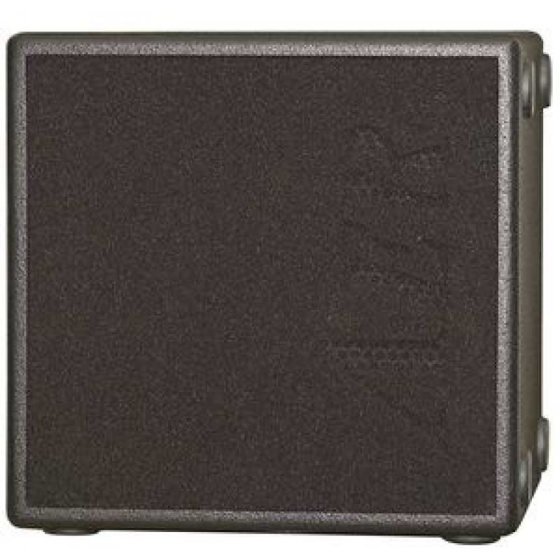 AER Compact XL Acoustic Amp (200w)
