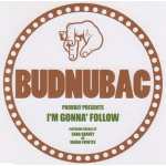 Faith & Hope Records, Budnubac, Im Gonna Follow You, 12 Inch Single