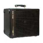 AER Amp One Bass Amp (200W)