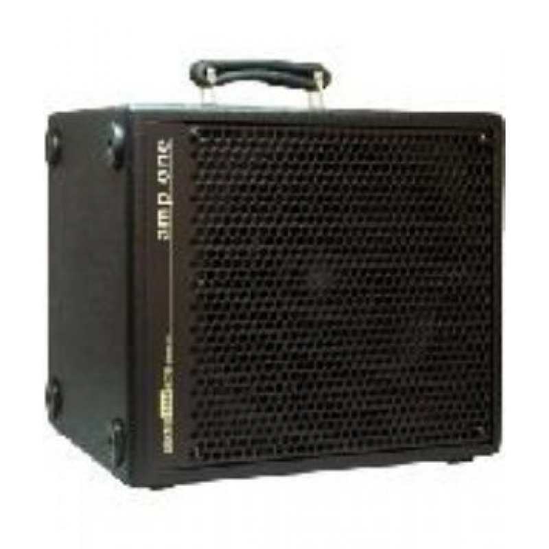 AER Amp One Bass Amp (200W)
