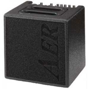 AER Alpha 40 Acoustic Amp (40w)
