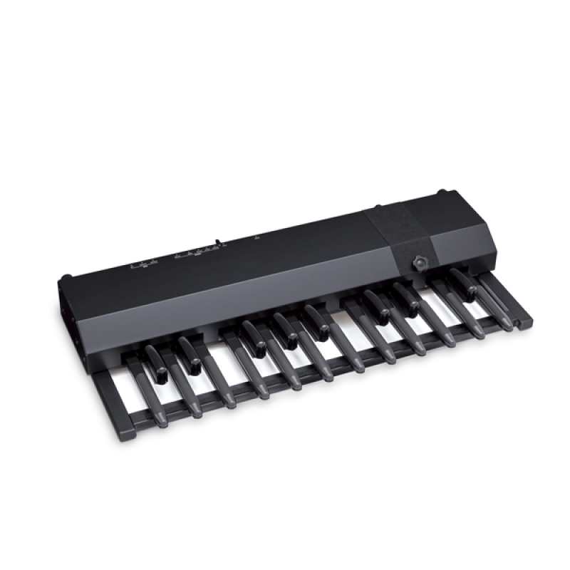 Hammond XPK200G Midi Pedalboard - Image 2