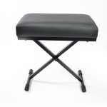 Arena Deluxe Bench For Keyboard Players & Pianists (STOOL-RECTAG)