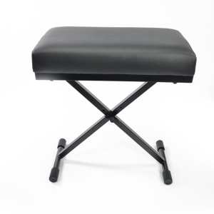Arena Deluxe Bench For Keyboard Players & Pianists (STOOL-RECTAG)