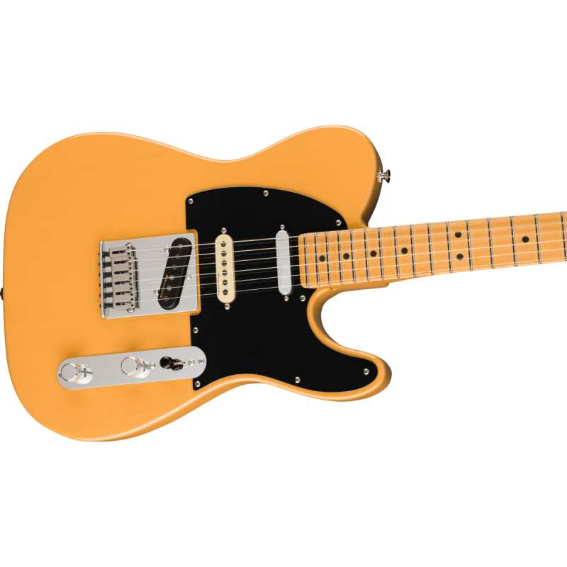 Fender Player Plus Nashville Telecaster, Butterscotch Blonde - Image 2