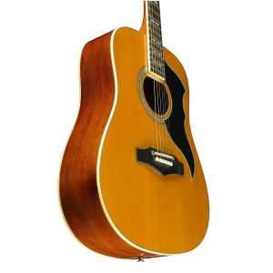 Eko Ranger VI VR 6-String Acoustic Guitar in Natural Stain (06217118)