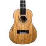 Levin LU50C Concert Spalted Maple Ukulele in Natural Satin with 10mm Gig Bag