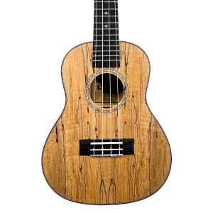 Levin LU50C Concert Spalted Maple Ukulele in Natural Satin with 10mm Gig Bag