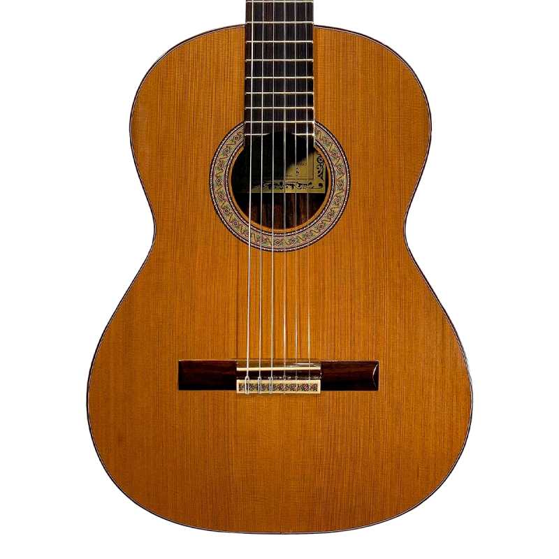 Mendieta Conservatoire B Classical Guitar [solid cedar top, laminated indian rosewood back and sides, ebony fingerboard]