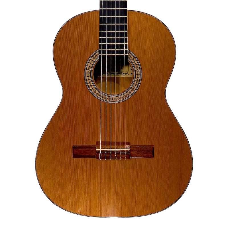 Mendieta Artizan V Classical Guitar with Hiscox Hardcase [solid cedar top, laminated red gum back and sides, ebony fingerboard]