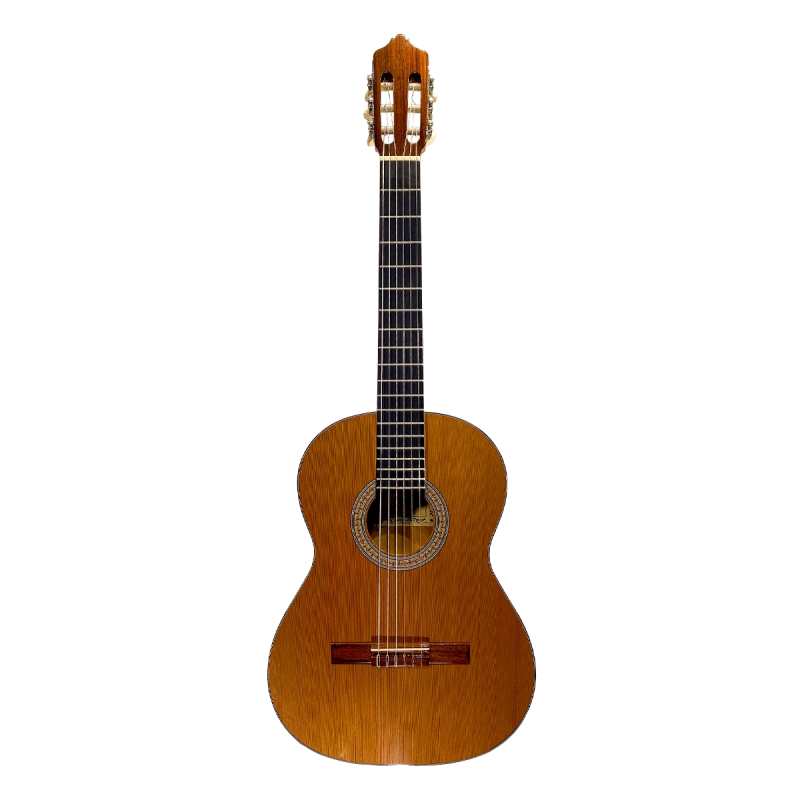 Mendieta Artizan V Classical Guitar with Hiscox Hardcase [solid cedar top, laminated red gum back and sides, ebony fingerboard] - Image 2