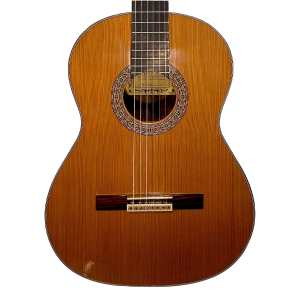 Mendieta Artizan Model W Classical Guitar with Hiscox Hardcase [solid cedar top, laminated green ebony back and sides, ebony fingerboard]