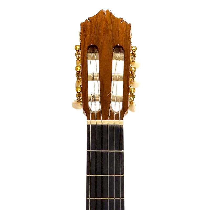 Mendieta Artizan Model W Classical Guitar with Hiscox Hardcase [solid cedar top, laminated green ebony back and sides, ebony fingerboard] - Image 3