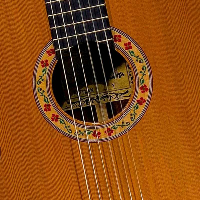 Mendieta Artizan Model Y Classical Guitar with Hiscox Hardcase [solid cedar top, laminated cocobolo back and sides, ebony fingerboard] - Image 2