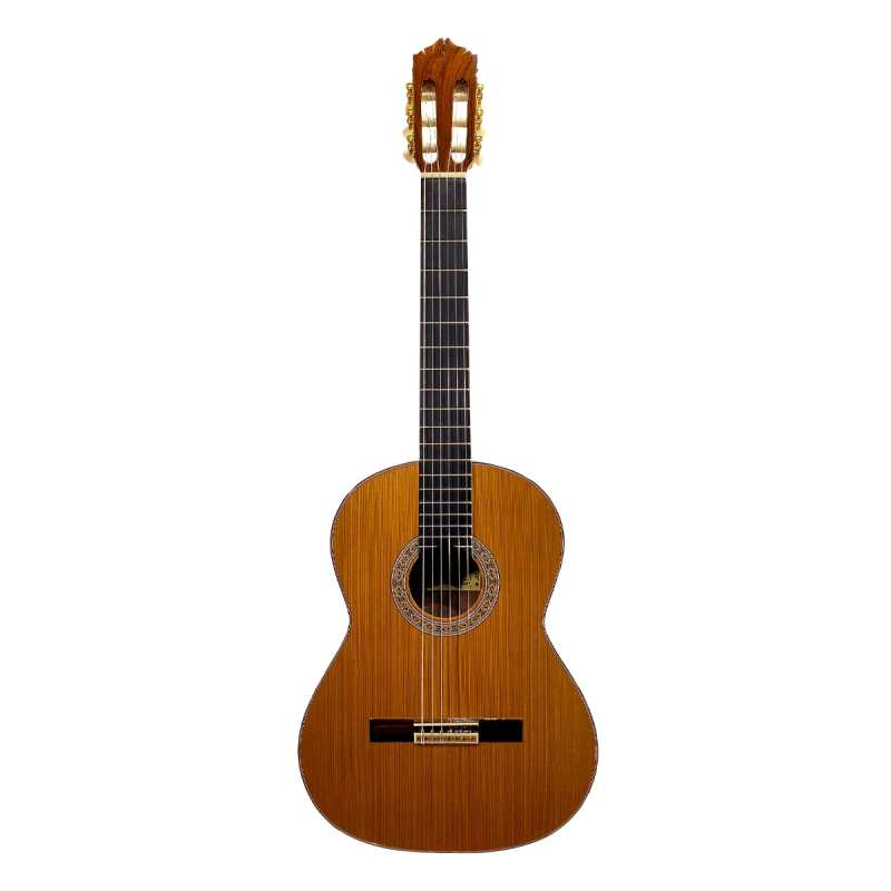 Mendieta Artizan Model Z Classical Guitar with Hiscox Hardcase [solid cedar top, laminated ziricote back and sides, ebony fingerboard] - Image 3