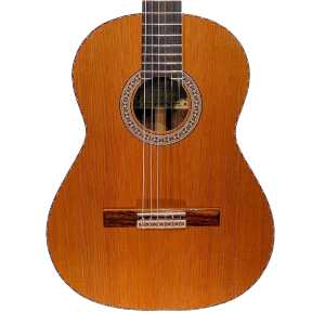 Mendieta Professional Classica Model Classical Guitar with Hiscox Hardcase [all hand-selected solid woods: elite solid cedar top, solid indian rosewood back and sides, ebony fingerboard]