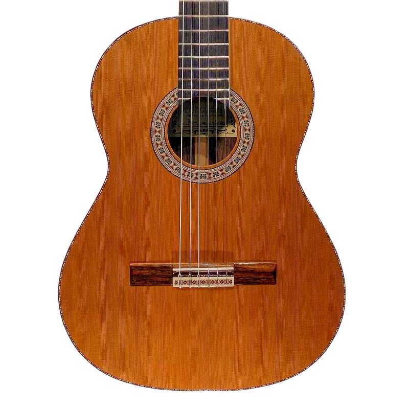 Mendieta Professional Classica Model Classical Guitar with Hiscox Hardcase [all hand-selected solid woods: elite solid cedar top, solid indian rosewood back and sides, ebony fingerboard]