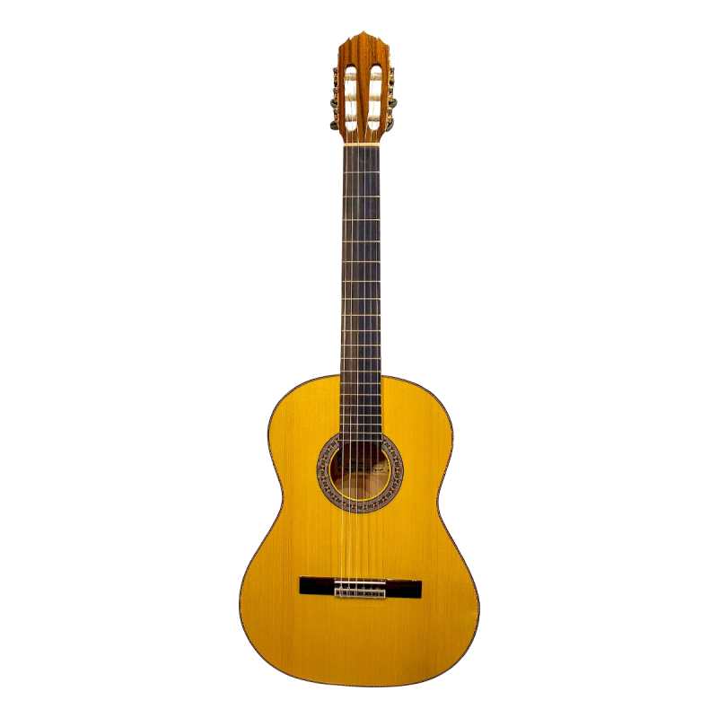 Mendieta Professional Flamenco Model Guitar with Hiscox Hardcase [all hand-selected solid woods: elite solid spruce top, solid cypress back and sides, ebony fingerboard] - Image 4