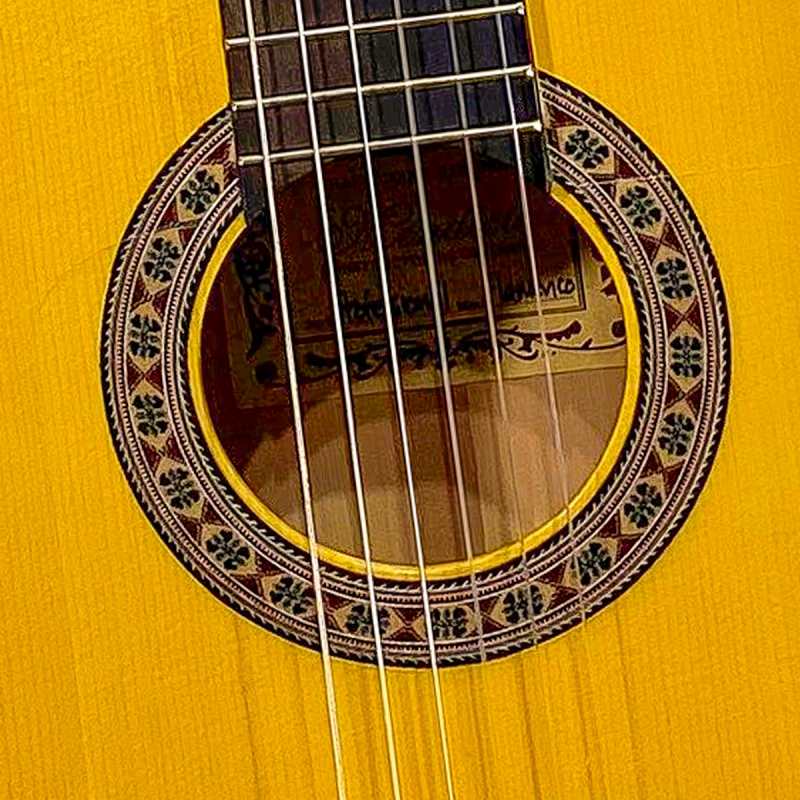Mendieta Professional Flamenco Model Guitar with Hiscox Hardcase [all hand-selected solid woods: elite solid spruce top, solid cypress back and sides, ebony fingerboard] - Image 2