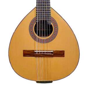 Mendieta Bandurria H, Spanish Lute
