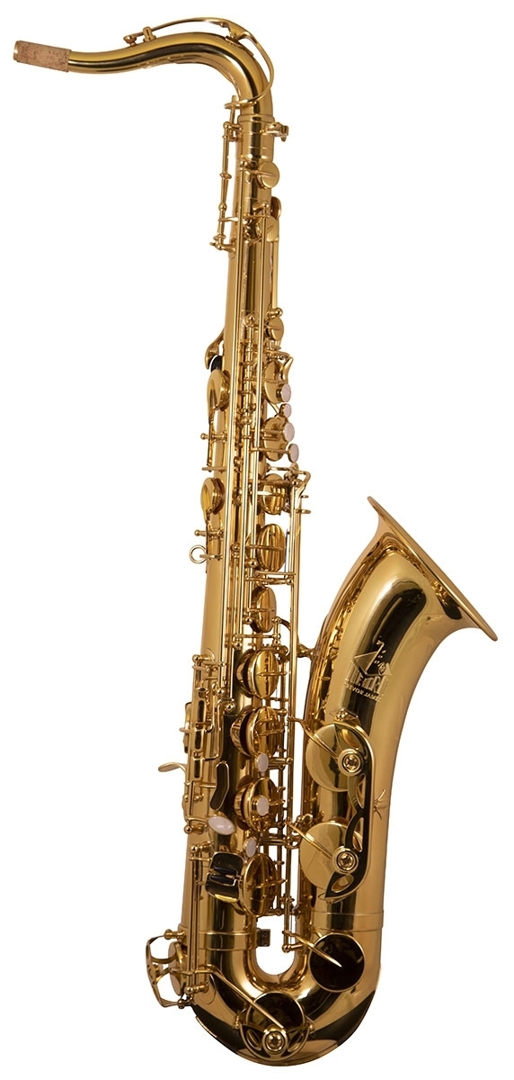 Trevor james classic ii alto saxophone deals