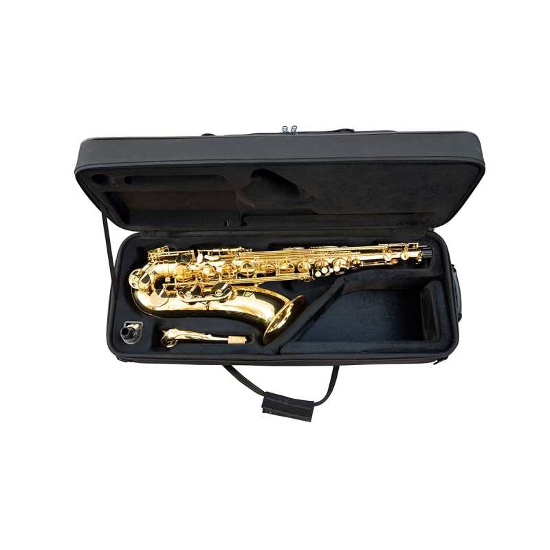 Trevor James 'The Horn' Tenor Sax Outifit, Gold Laquer (3830G) - Image 2