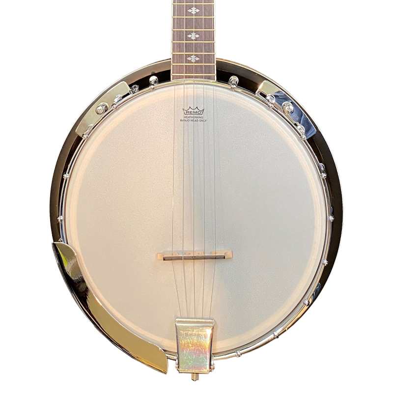 Levin Folk LBJ84GT2 5-String G Banjo
