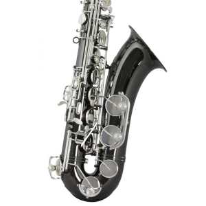Trevor James Horn Classic Mk2 Tenor Sax Outfit (3822BS)