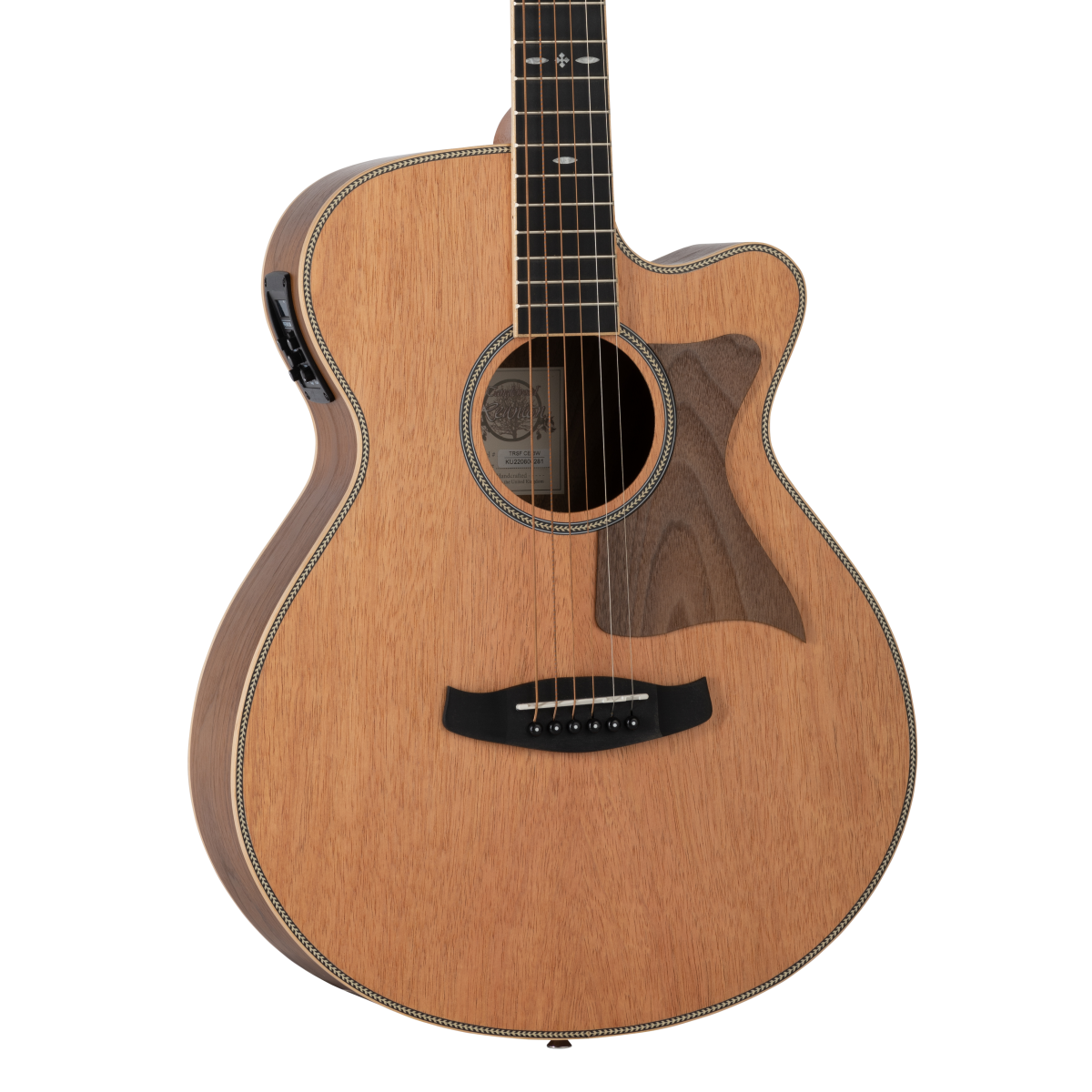 Tanglewood acoustic guitar store