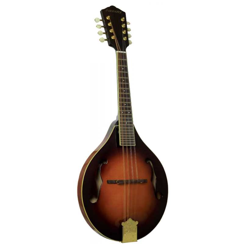Ashbury AM410 A Style Bluegrass Mandolin (GR31113) - Image 2