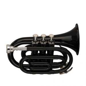 Stagg Bb Pocket Trumpet With Brass Body In Black (WS-TR248S)