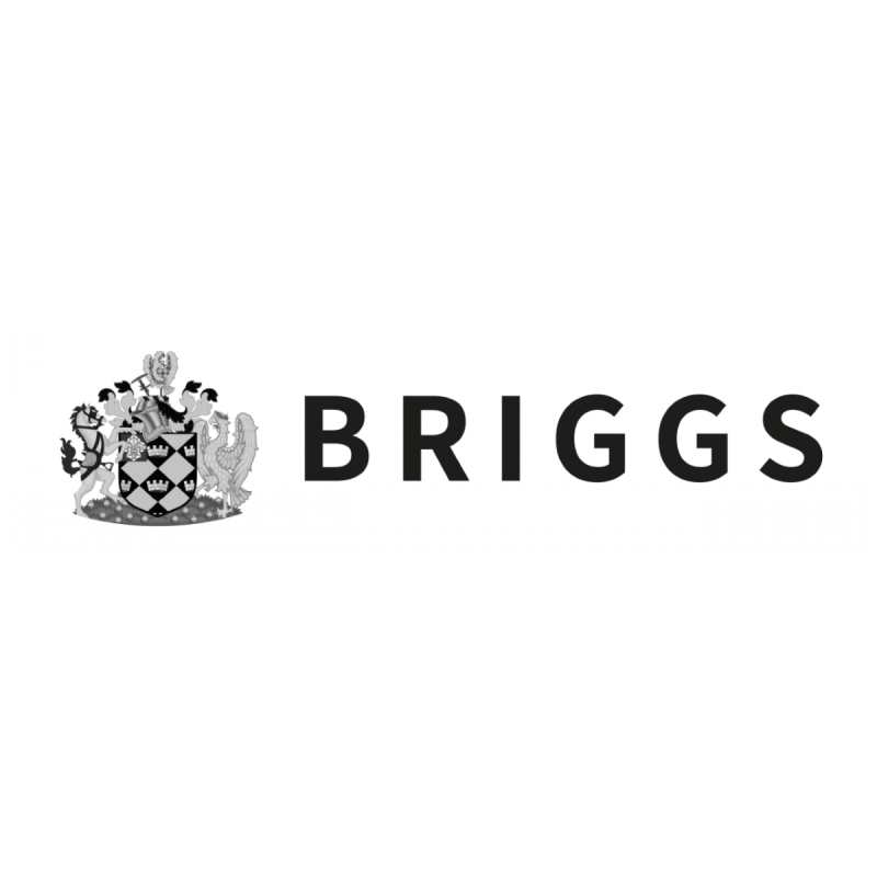 Briggs 111A Violin in Antiqued Varnish with one-piece back [Handmade in 2022 and inspired by an Antonio Stradivari pattern violin of 1728] - Image 4