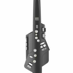 Roland AE10G Aerophone in Graphite
