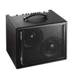 AER Amp III Bass Amp Combo